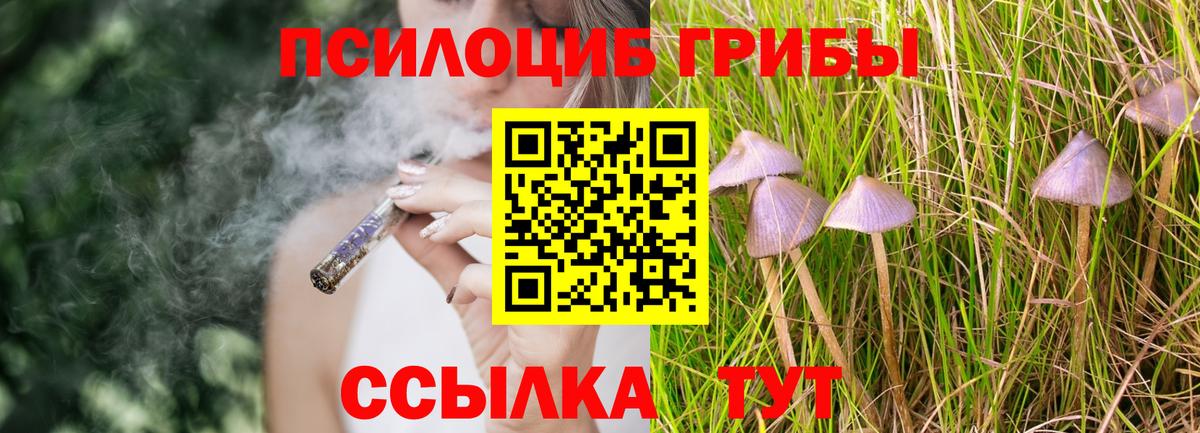 Псилоцибиновые грибы Psilocybine cubensis Севастополь