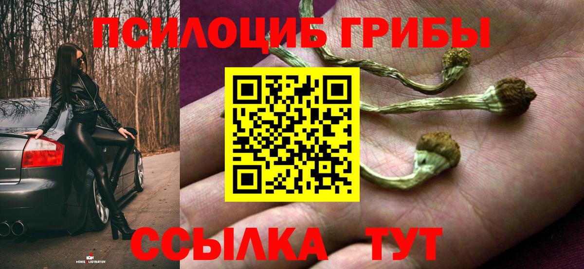 Галлюциногенные грибы мицелий  Вход с VPN  Севастополь 